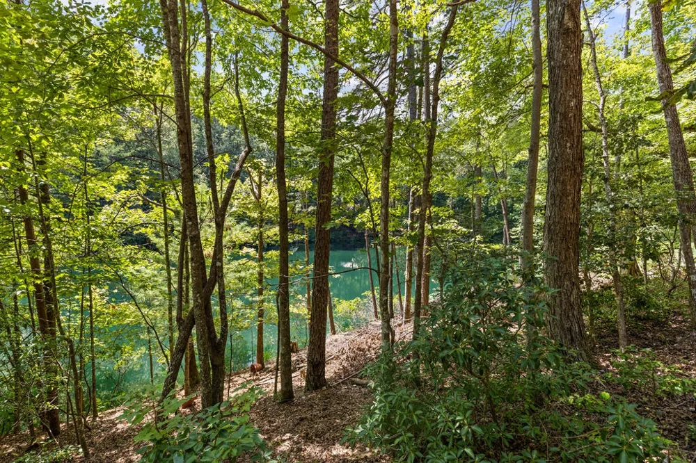 LT 44&45 Overlook Drive Cherry Log, GA 30522
