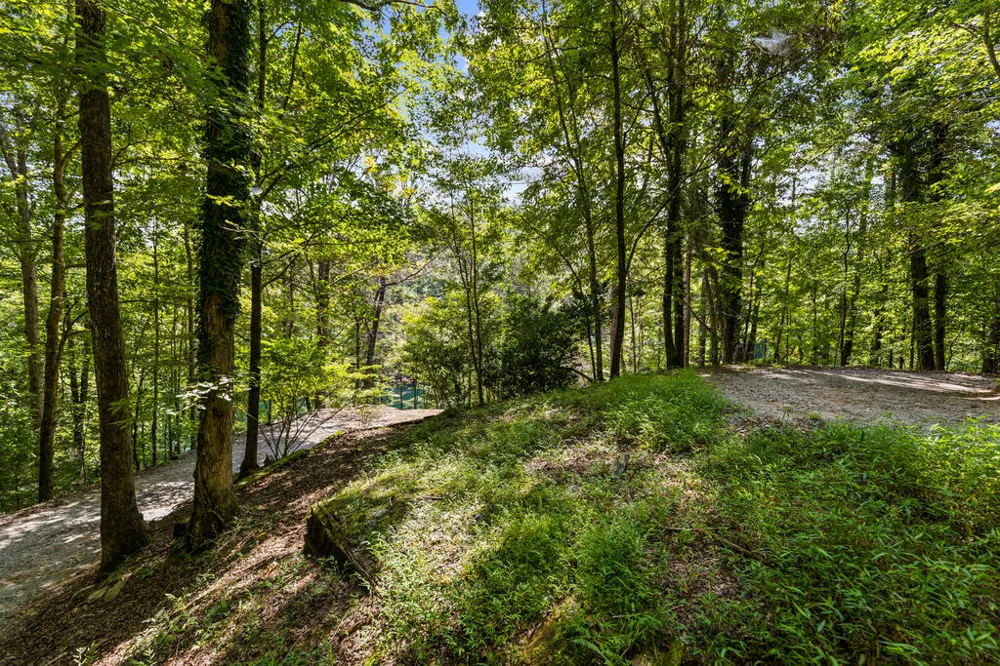 LT 44&45 Overlook Drive Cherry Log, GA 30522