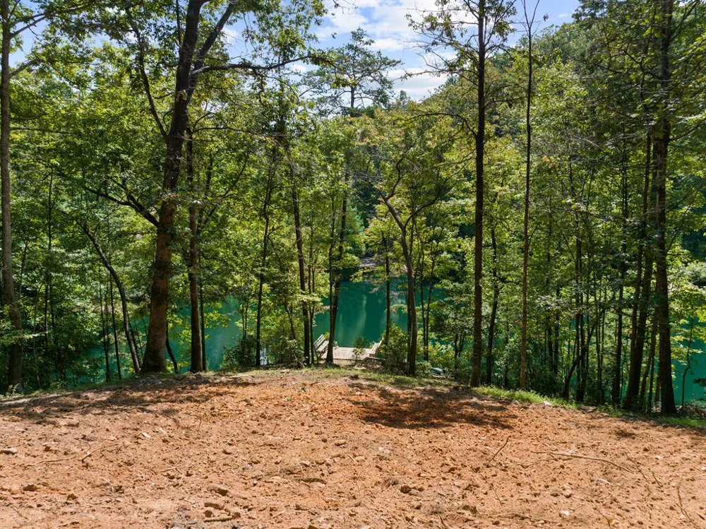 LT 44&45 Overlook Drive Cherry Log, GA 30522