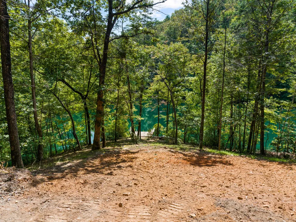 LT 44&45 Overlook Drive Cherry Log, GA 30522