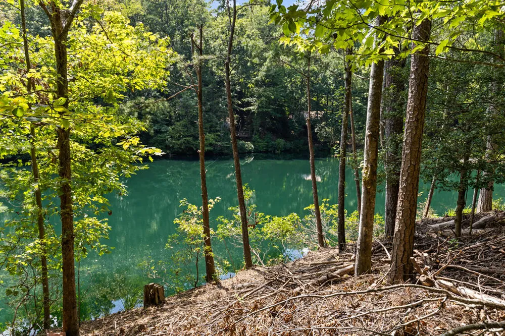 LT 44&45 Overlook Drive Cherry Log, GA 30522