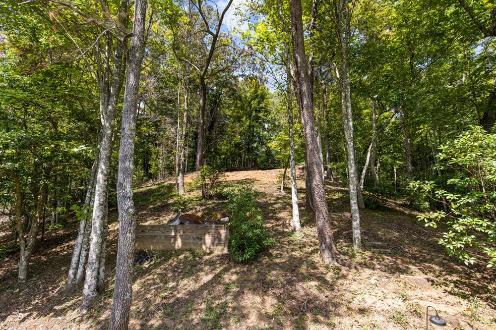 LT 44&45 Overlook Drive Cherry Log, GA 30522