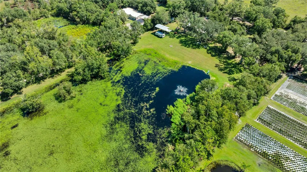 5753 DORMANY ROAD Plant City, FL 33565