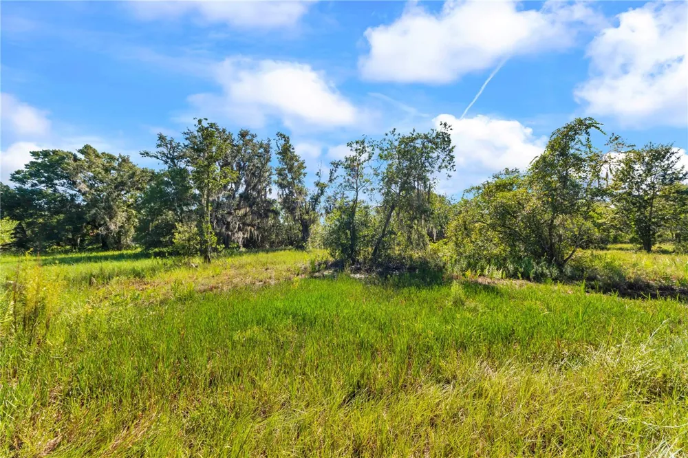 5753 DORMANY ROAD Plant City, FL 33565