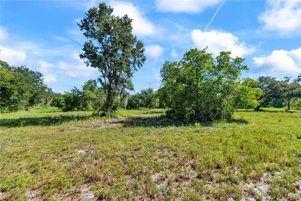 5753 DORMANY ROAD Plant City, FL 33565