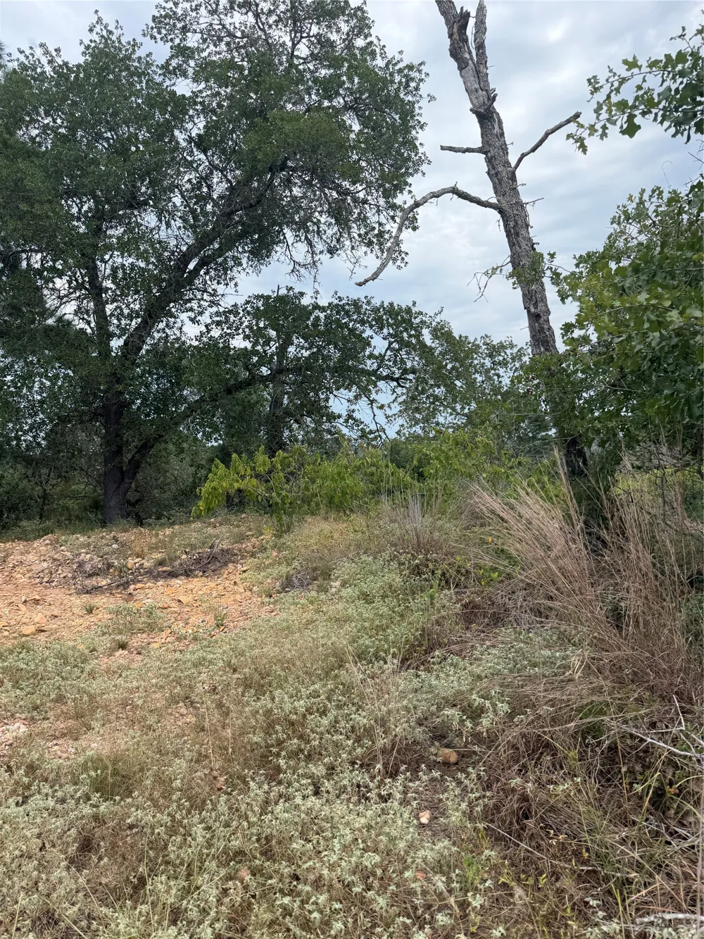 237 Kaelupulu Drive Bastrop, TX 78602