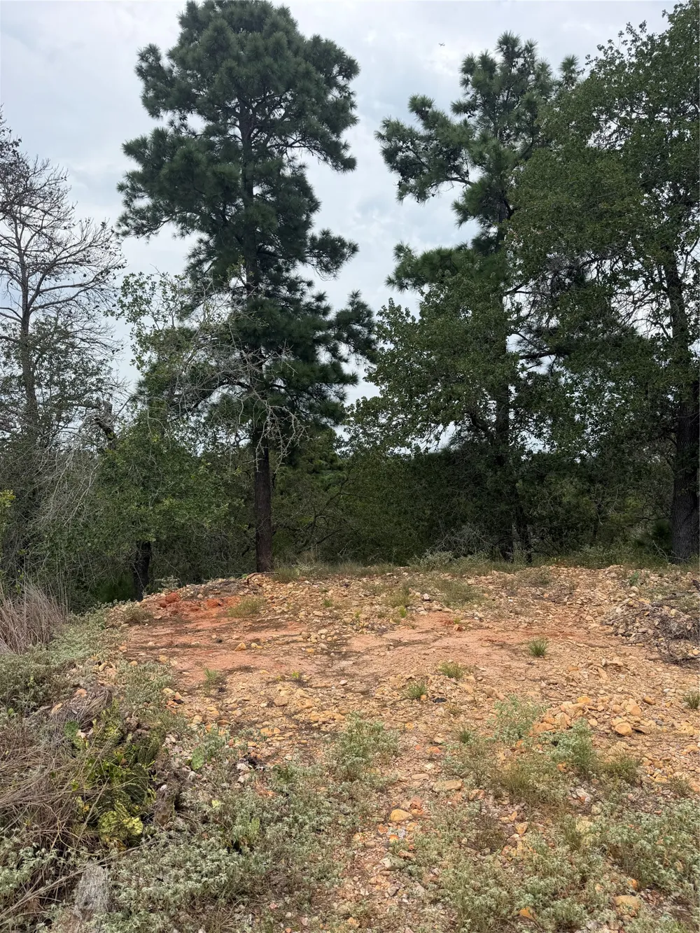 237 Kaelupulu Drive Bastrop, TX 78602