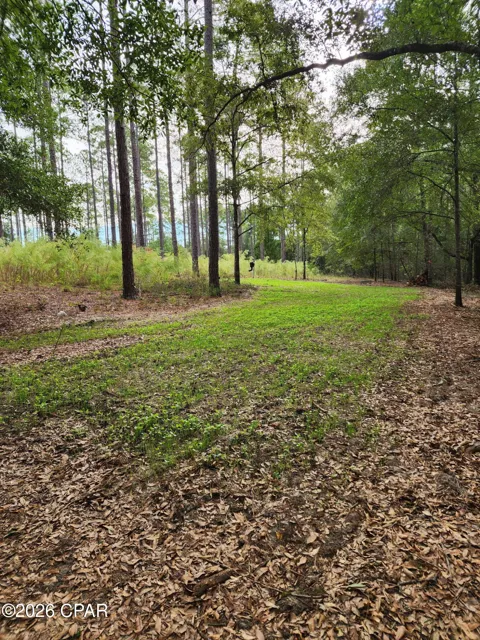 1745 Turkey Oak Trail