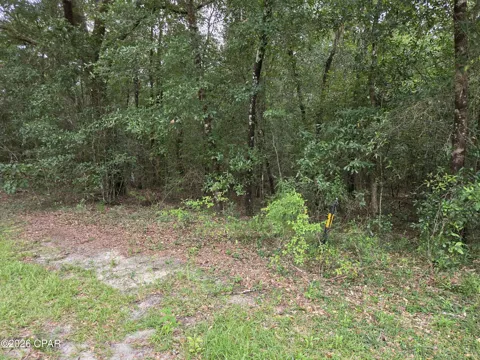 Quail Ridge Drive