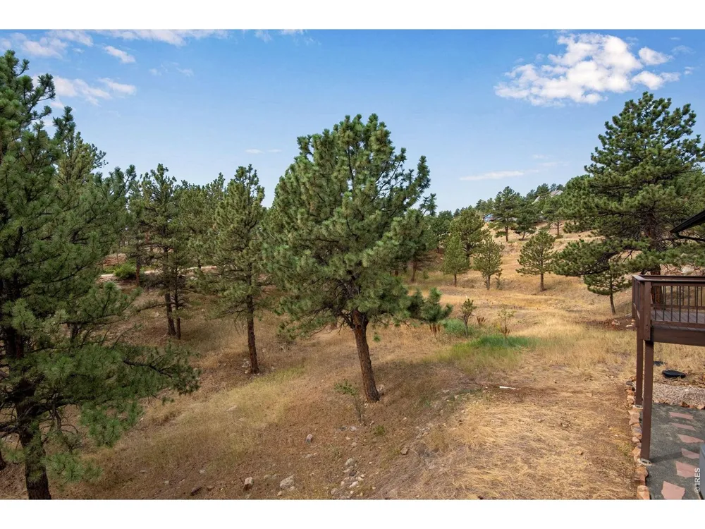 8394 Larkspur Road Boulder, CO 80302