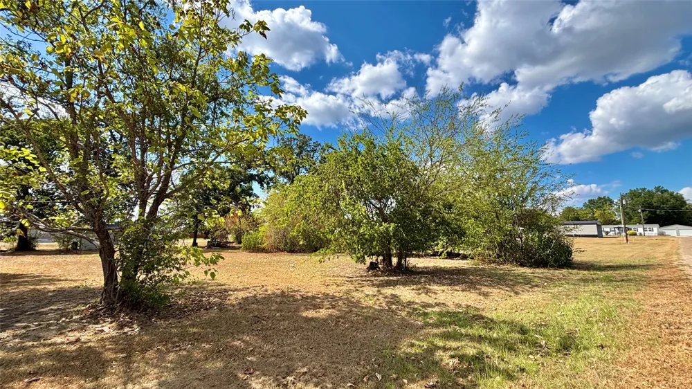 169 Navajo Quitman, TX 75783