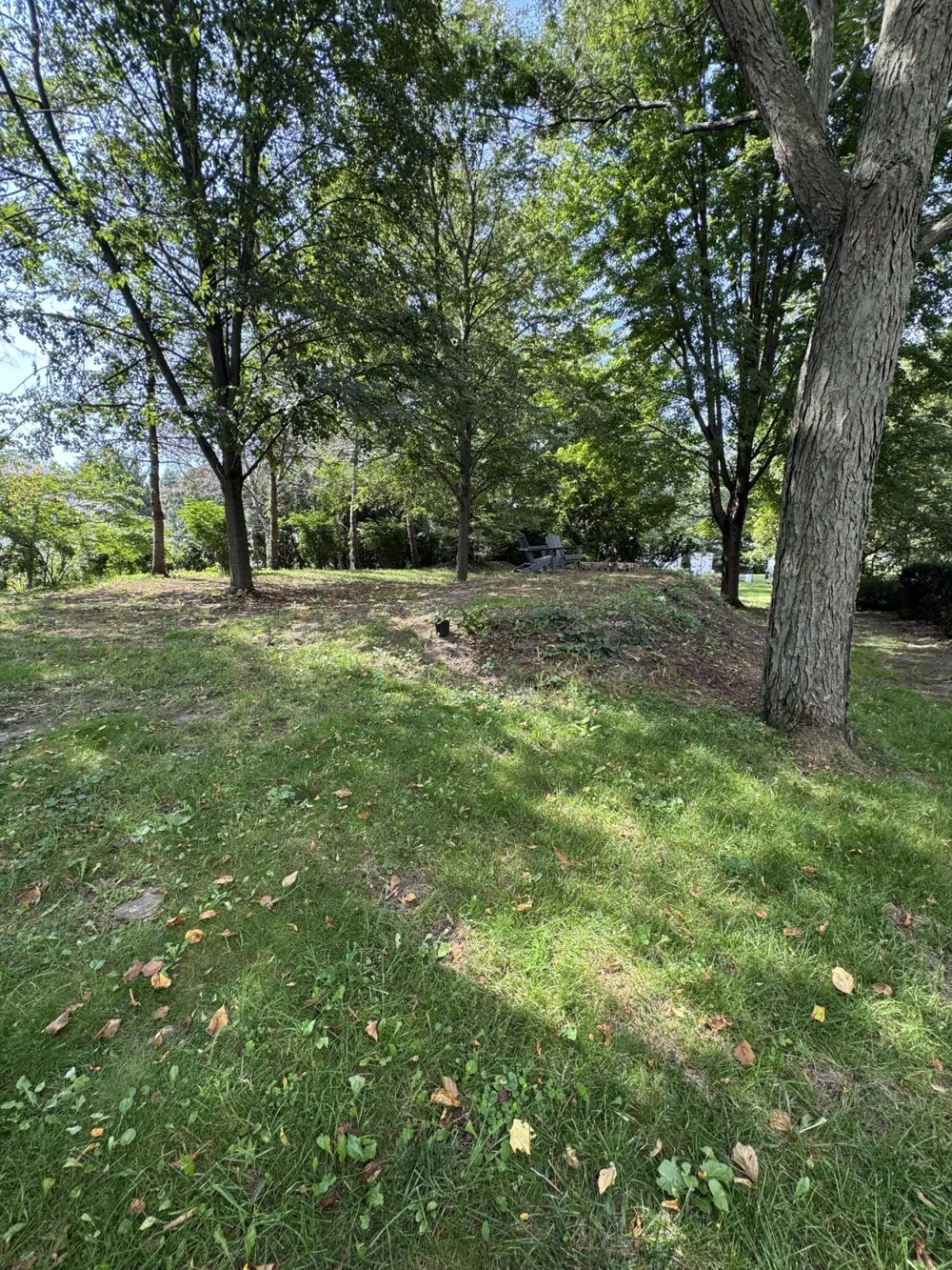 308 S Barker Street New Buffalo, MI 49117