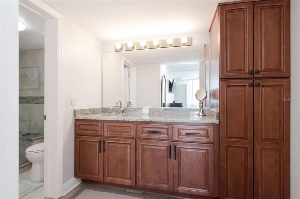 5729 PUERTA DEL SOL BOULEVARD S #381 St Petersburg, FL 33715
