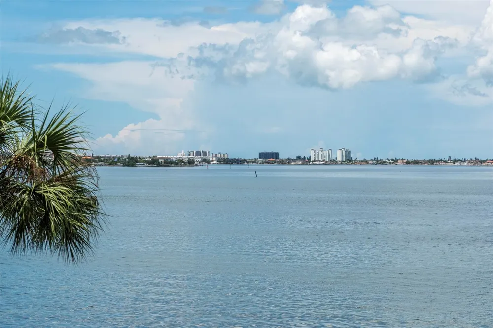 5729 PUERTA DEL SOL BOULEVARD S #381 St Petersburg, FL 33715