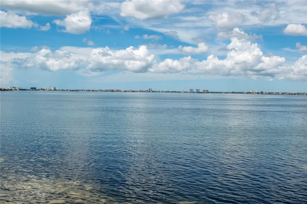 5729 PUERTA DEL SOL BOULEVARD S #381 St Petersburg, FL 33715