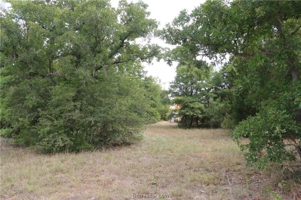 2004 R A Galindo Boulevard Bryan, TX 77807