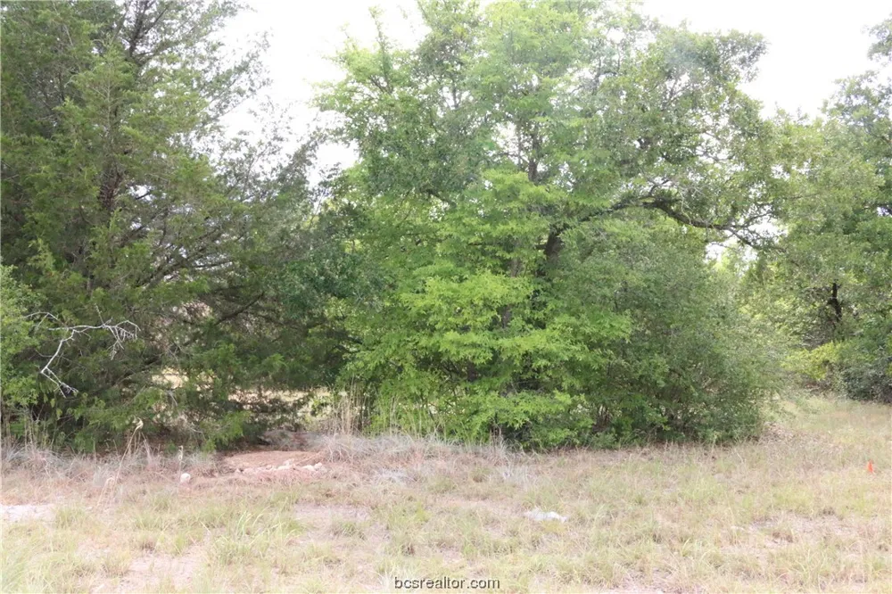 2004 R A Galindo Boulevard Bryan, TX 77807