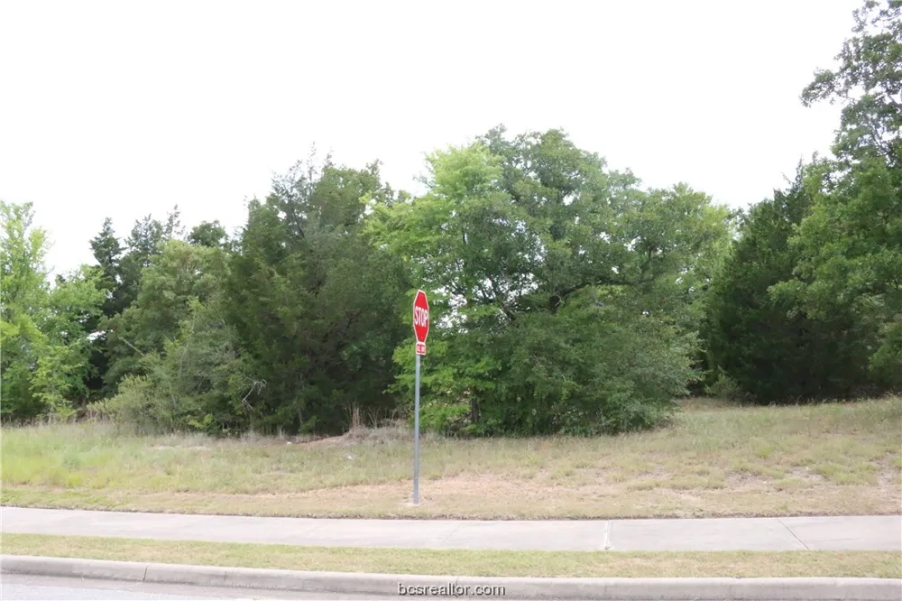 2004 R A Galindo Boulevard Bryan, TX 77807