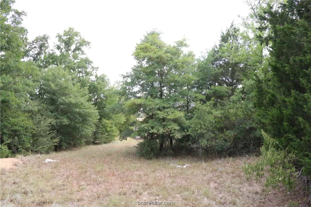 2004 R A Galindo Boulevard Bryan, TX 77807