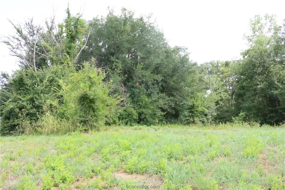 2105 Cids Lane Bryan, TX 77807