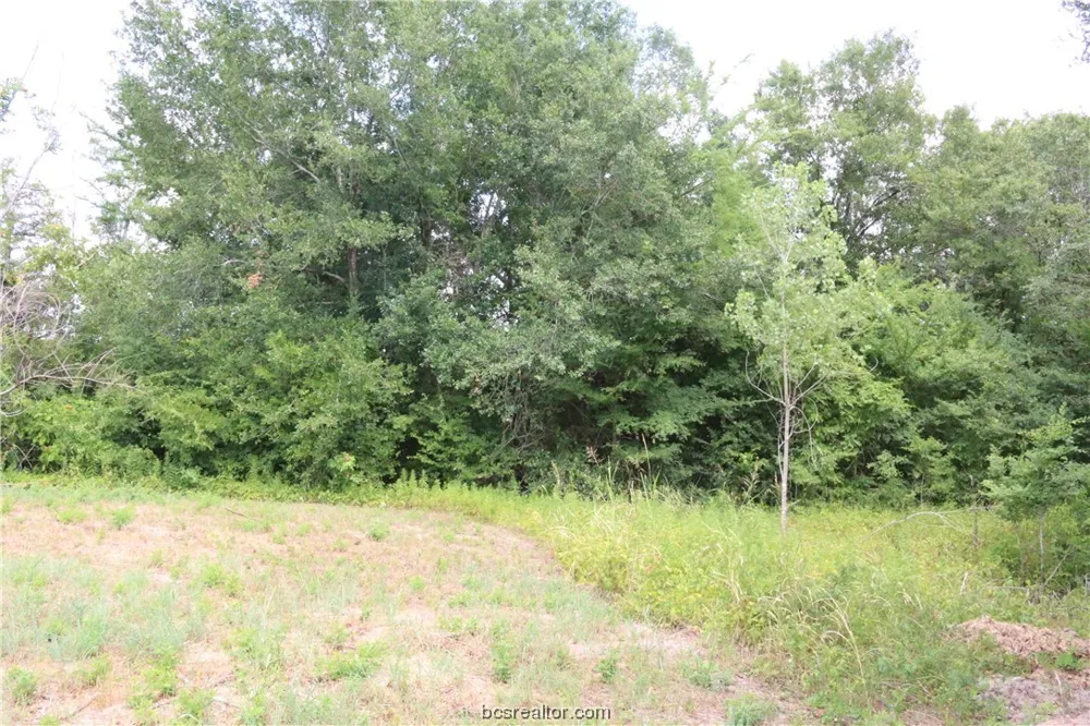 2105 Cids Lane Bryan, TX 77807