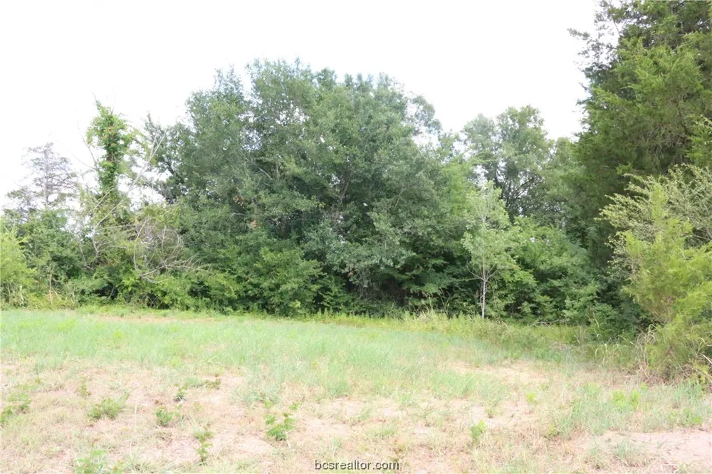 2105 Cids Lane Bryan, TX 77807