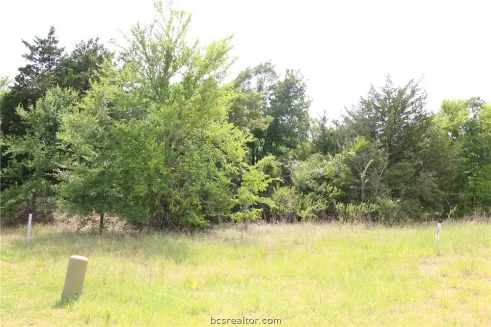 2008 R A Galindo Boulevard Bryan, TX 77807
