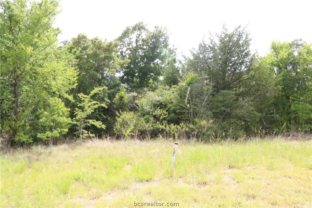 2008 R A Galindo Boulevard Bryan, TX 77807