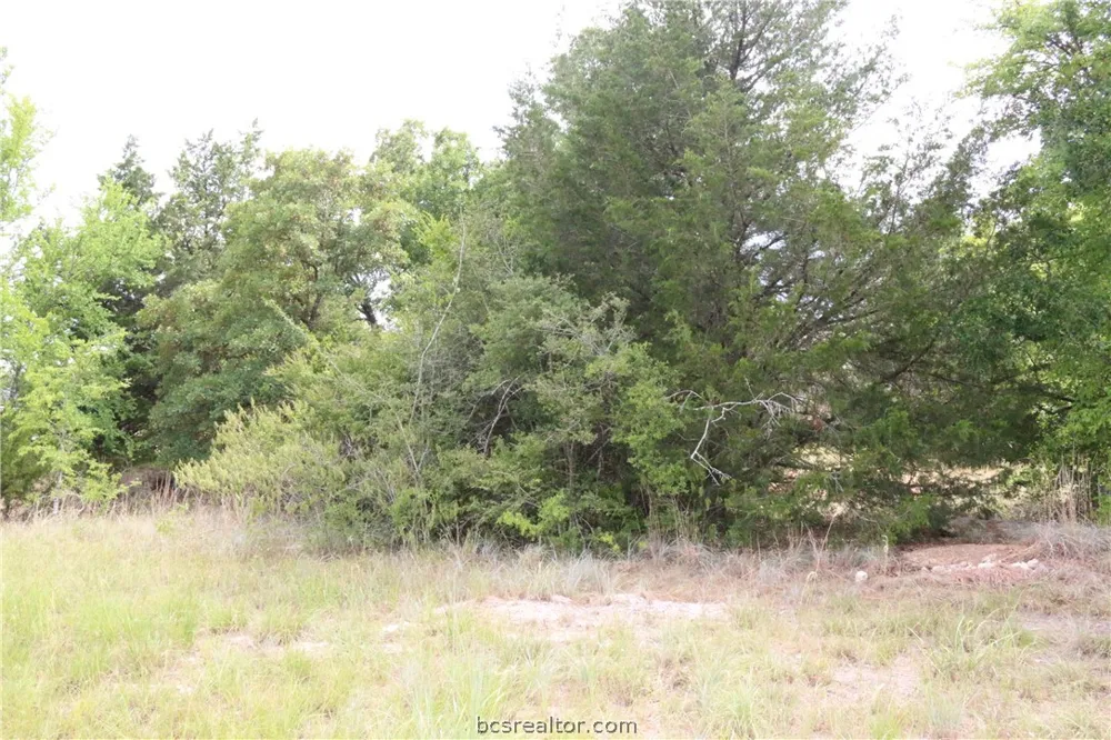 2008 R A Galindo Boulevard Bryan, TX 77807