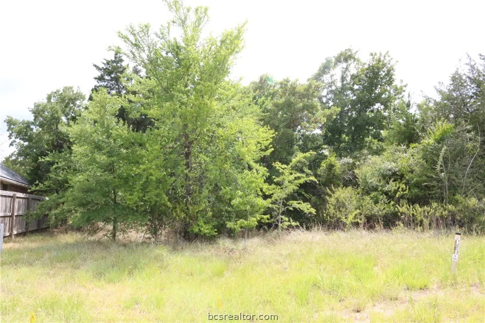 2008 R A Galindo Boulevard Bryan, TX 77807