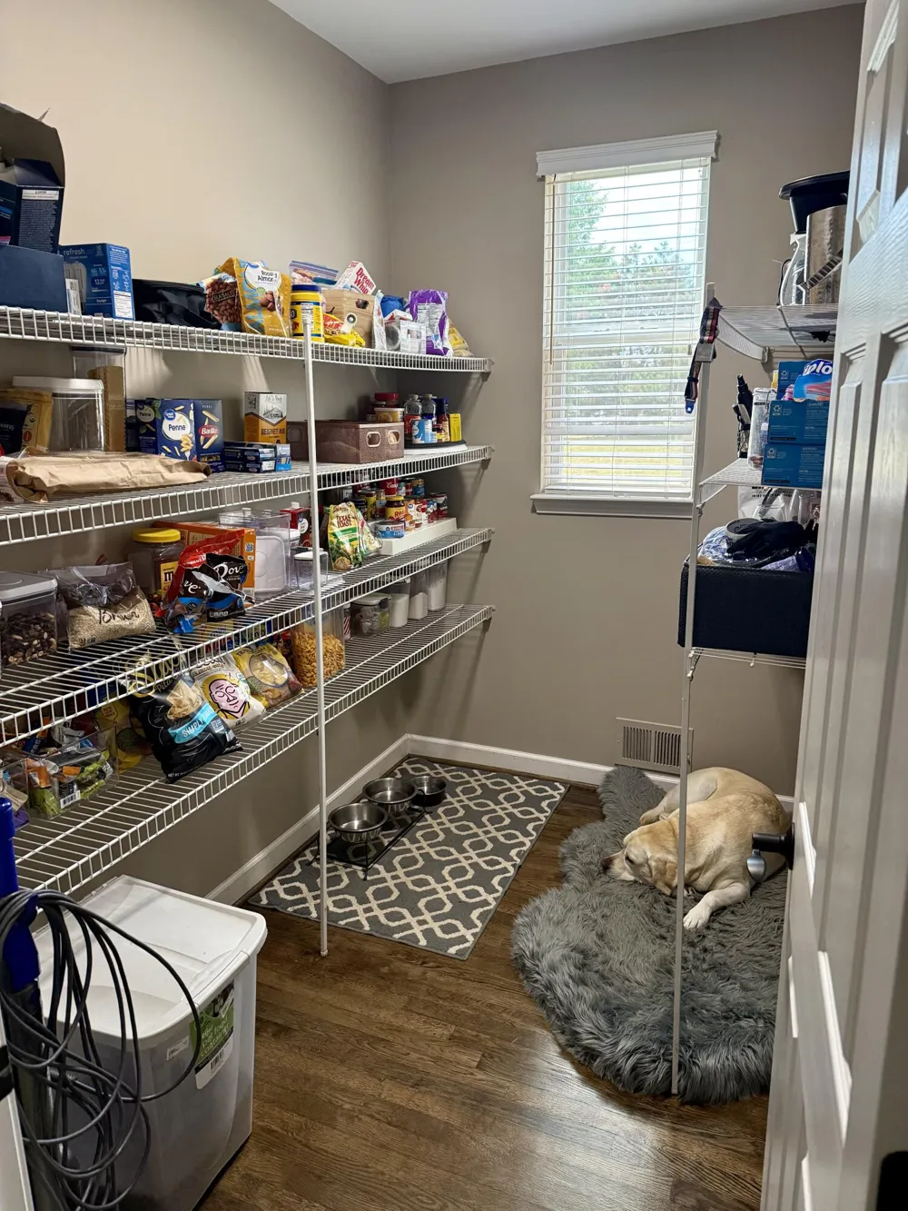 26393 Creekside Drive Lyon Charter Township, MI 48165