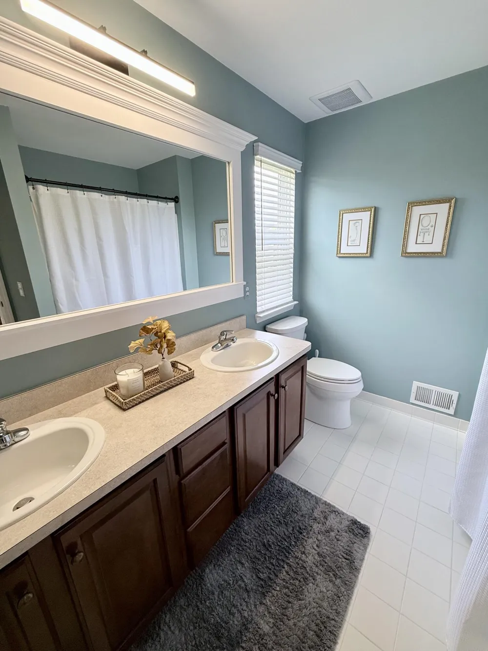 26393 Creekside Drive Lyon Charter Township, MI 48165