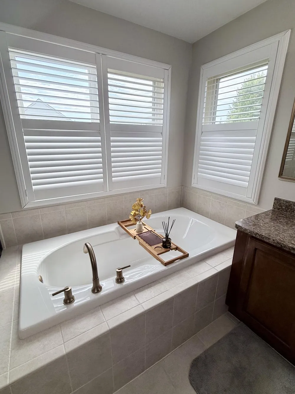 26393 Creekside Drive Lyon Charter Township, MI 48165