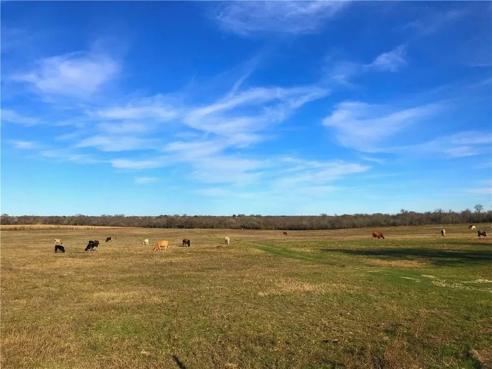 10521 Bitting School Road Manor, TX 78653