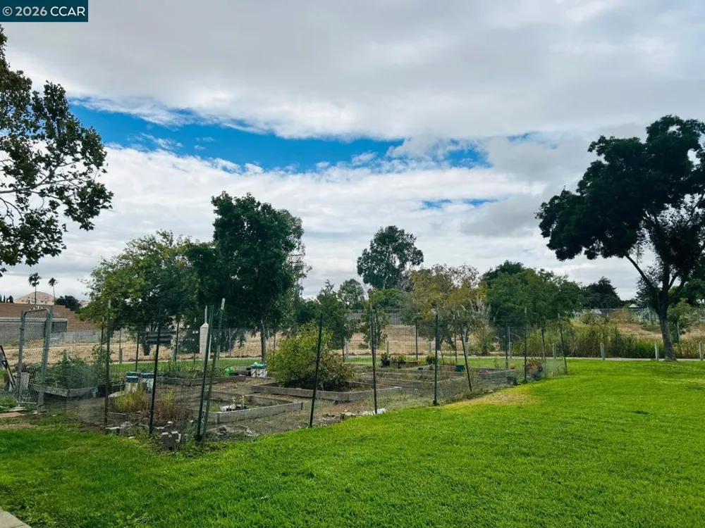 2409 Lemontree Ct #3 Antioch, CA 94509