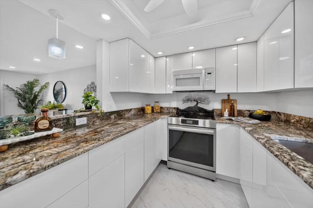 105 4TH AVENUE NE #529 St Petersburg, FL 33701