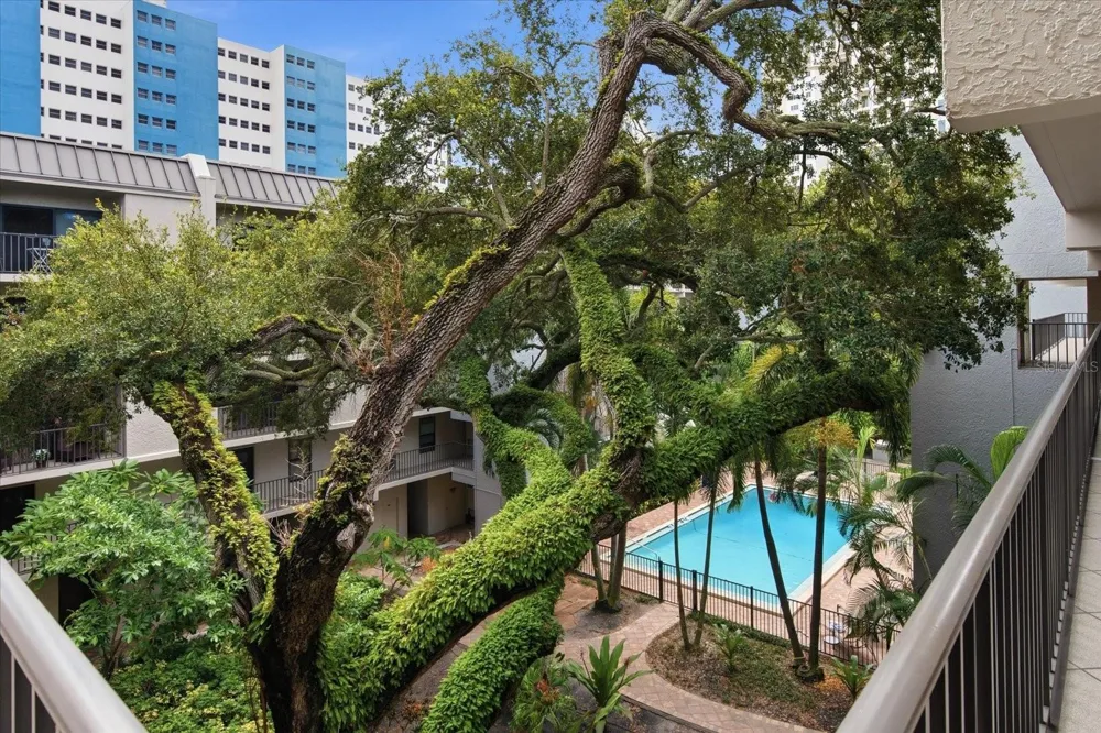 105 4TH AVENUE NE #529 St Petersburg, FL 33701