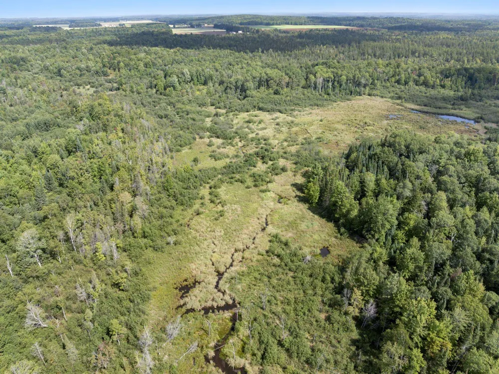 4517 SE Pierson Creek Road Oliver Township, MI 49646
