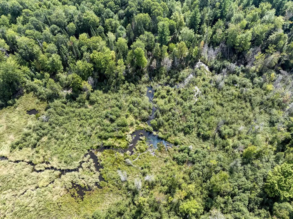 4517 SE Pierson Creek Road Oliver Township, MI 49646