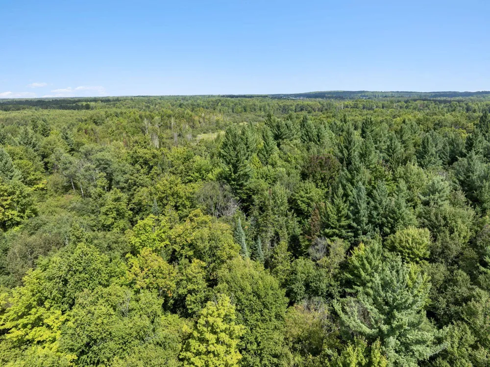 4517 SE Pierson Creek Road Oliver Township, MI 49646