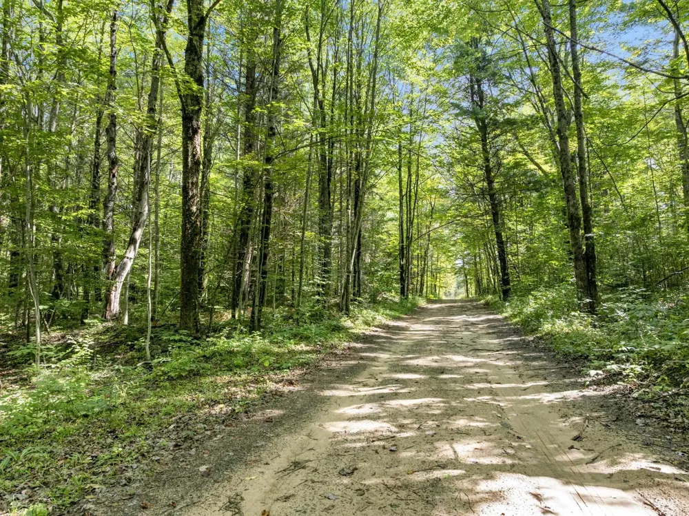 4517 SE Pierson Creek Road Oliver Township, MI 49646