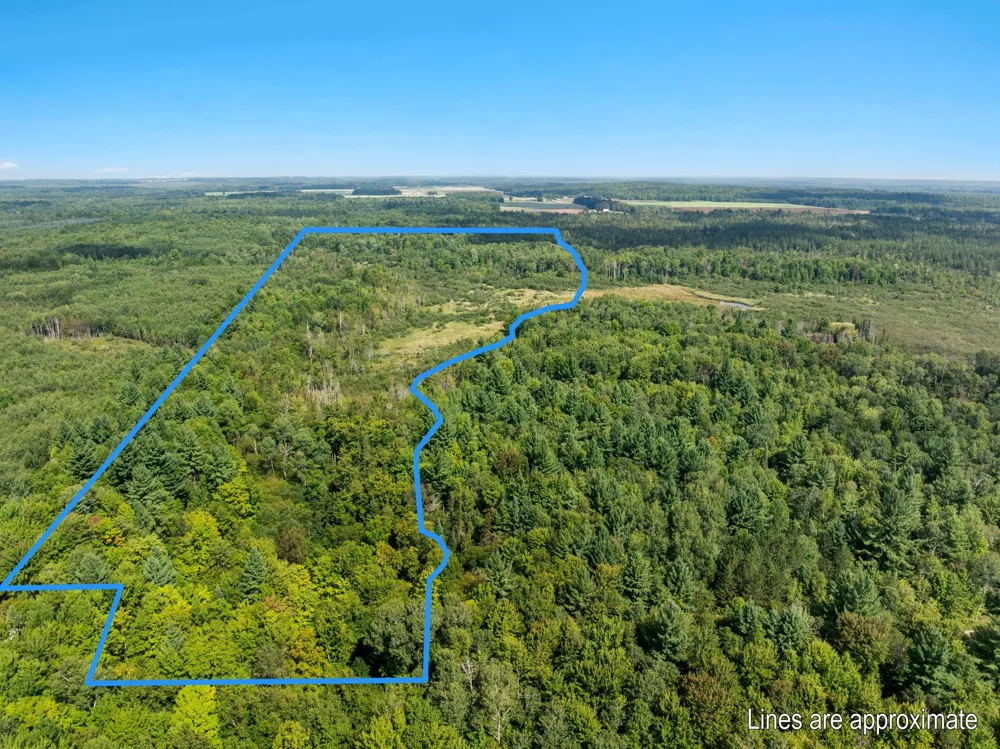 4517 SE Pierson Creek Road Oliver Township, MI 49646