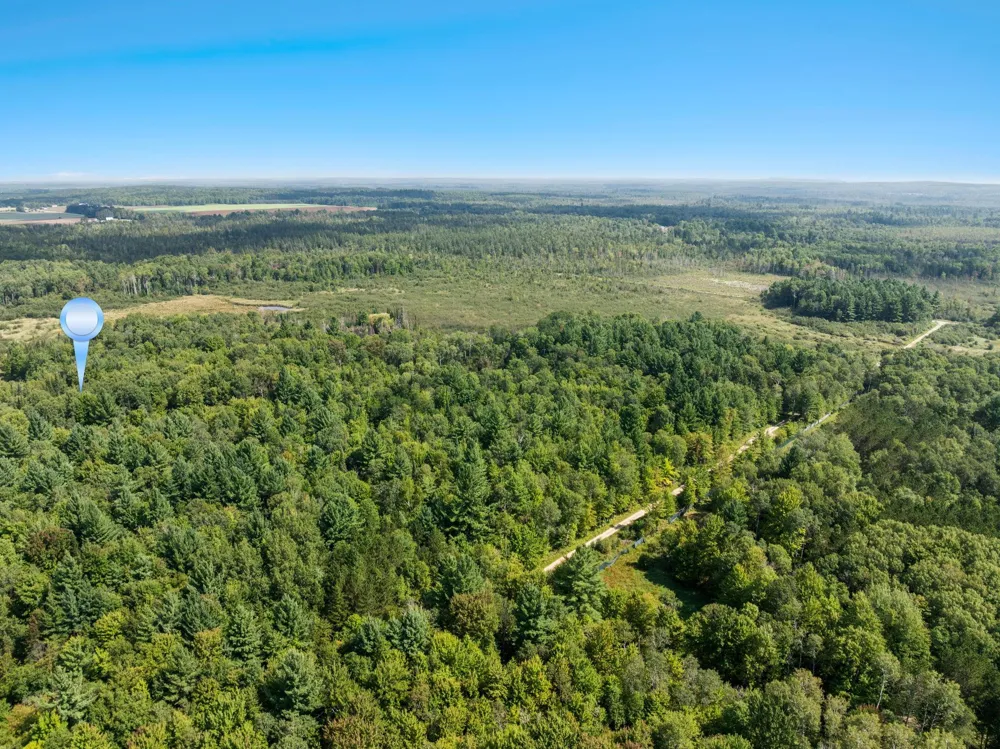 4517 SE Pierson Creek Road Oliver Township, MI 49646