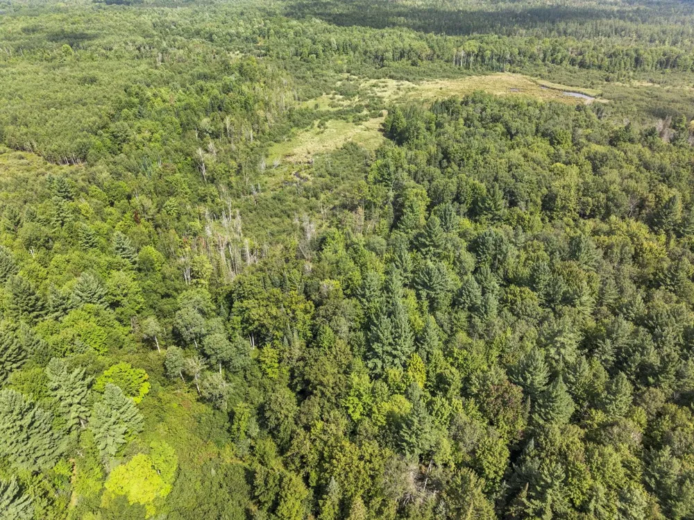 4517 SE Pierson Creek Road Oliver Township, MI 49646