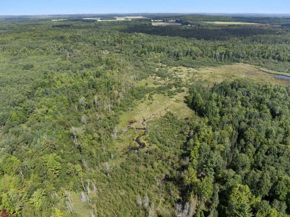 4517 SE Pierson Creek Road Oliver Township, MI 49646