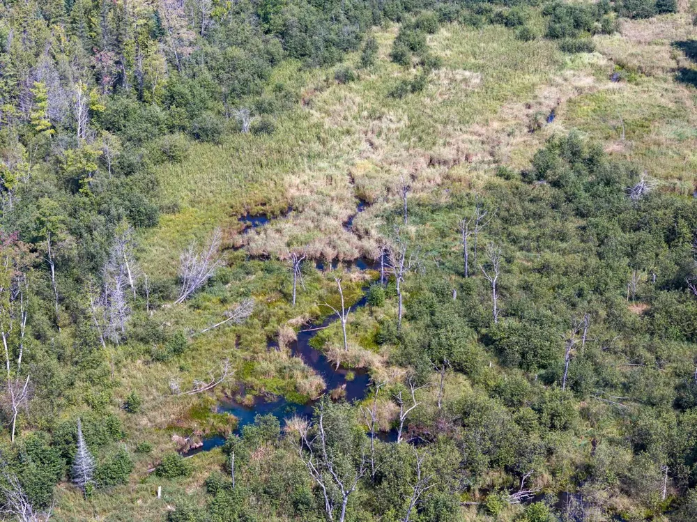 4517 SE Pierson Creek Road Oliver Township, MI 49646