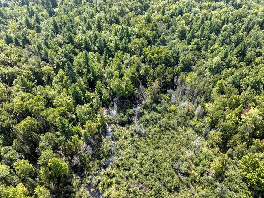 4517 SE Pierson Creek Road Oliver Township, MI 49646