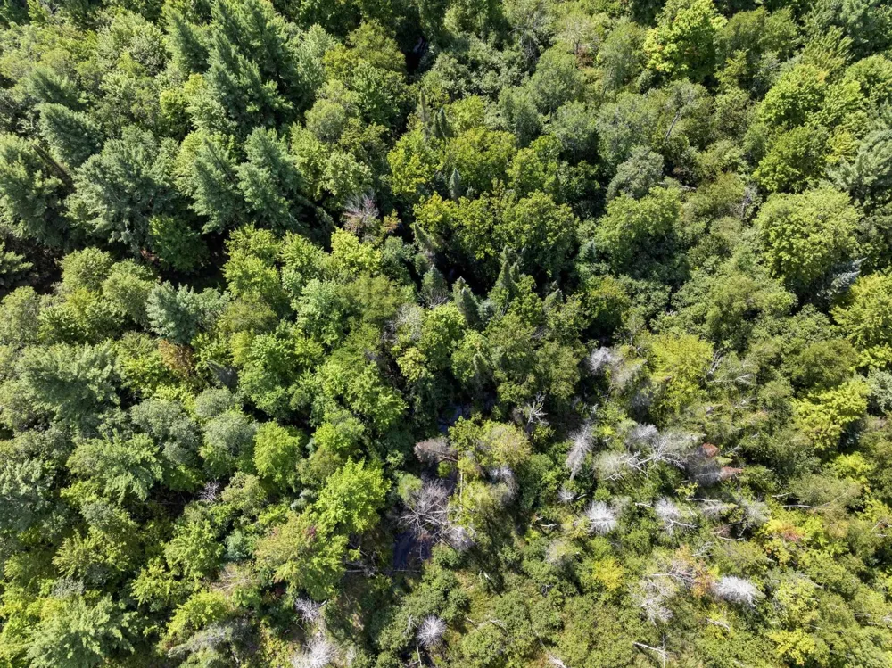 4517 SE Pierson Creek Road Oliver Township, MI 49646