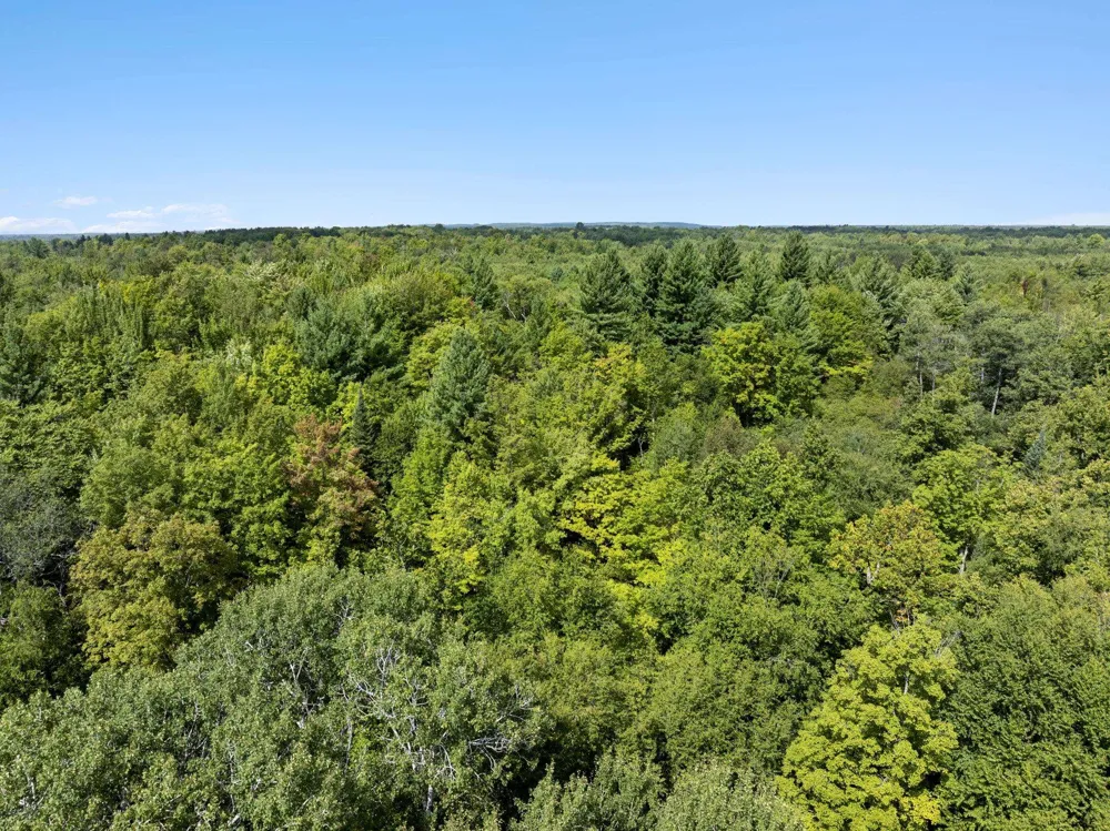 4517 SE Pierson Creek Road Oliver Township, MI 49646