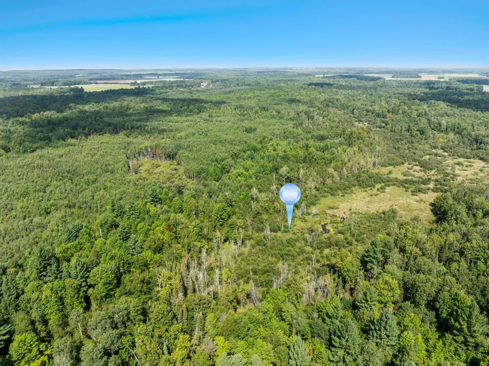 4517 SE Pierson Creek Road Oliver Township, MI 49646